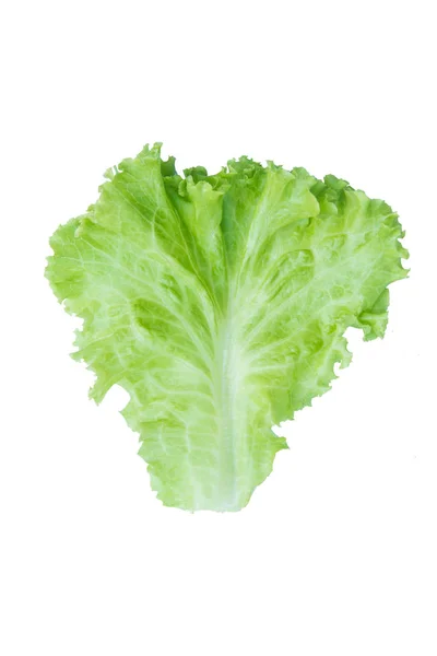 Salad Leaf Lettuce Isolated White Background Clipping Path — Stock Photo, Image