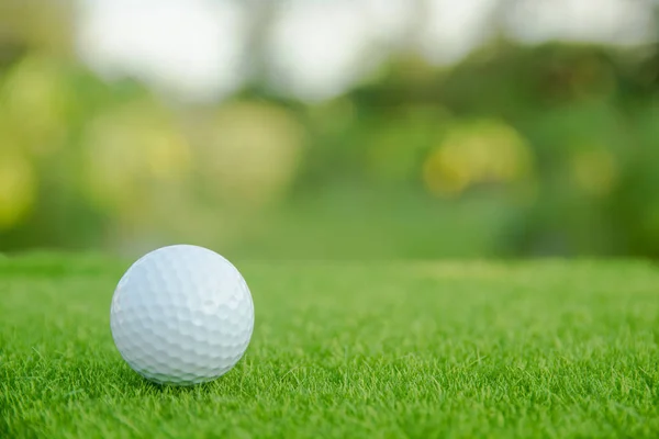 Pelota Golf Césped Verde Listo Para Jugar Campo Golf Con — Foto de Stock