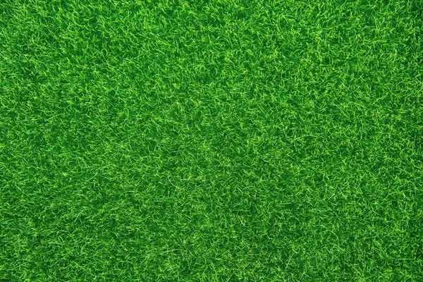 Green Grass Texture Background Top View Copy Space — Stock Photo, Image