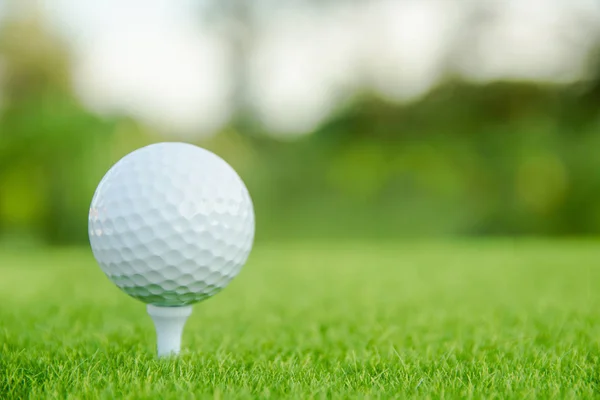 Golf Ball White Tee Green Grass Ready Play Golf Course Stock Photo