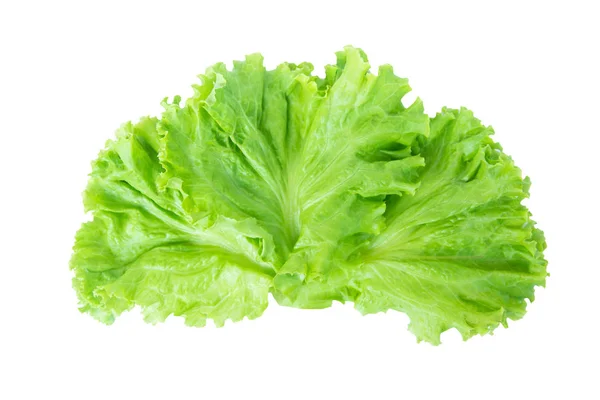 Hoja de ensalada. Lechuga aislada sobre fondo blanco con recorte p — Foto de Stock