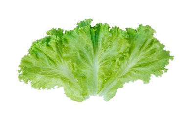 Salata yaprağı. Beyaz arka plan üzerinde izole marul. Kırpma ile 