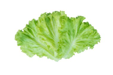 Salata yaprağı. Beyaz arka plan üzerinde izole marul. Kırpma ile 