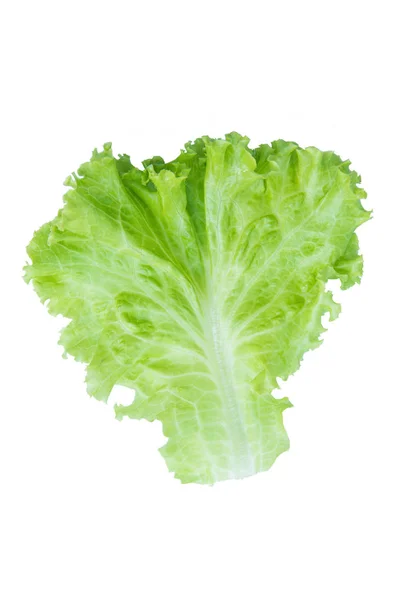 Salad leaf. Lettuce isolated on white background. with clipping — Stock Photo, Image