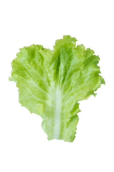 Salad leaf. Lettuce isolated on white background. with clipping — Stock Photo, Image