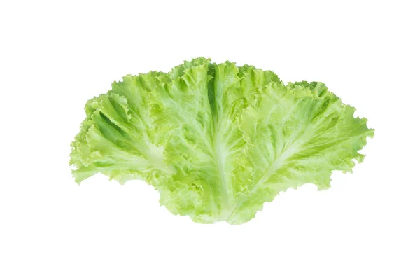 Salade blad. Sla geïsoleerd op een witte achtergrond. Met knippen — Stockfoto