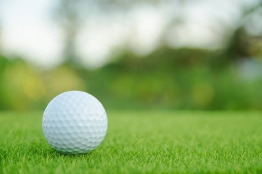 Yeşil çim golf topu golf sahasında oynamaya hazır. kopya ile