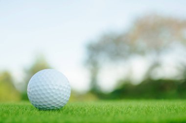 Yeşil çim golf topu golf sahasında oynamaya hazır. kopya ile