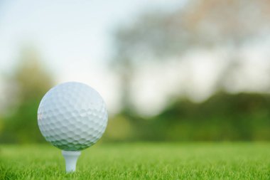 Golf oynamaya hazır yeşil çimlerin üzerinde beyaz tişörtlü golf topu.