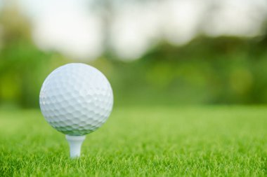 Golf oynamaya hazır yeşil çimlerin üzerinde beyaz tişörtlü golf topu.