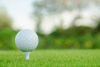 Golf oynamaya hazır yeşil çimlerin üzerinde beyaz tişörtlü golf topu.