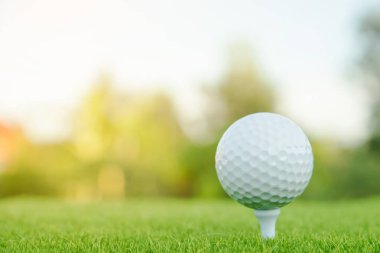Golf oynamaya hazır yeşil çimlerin üzerinde beyaz tişörtlü golf topu.