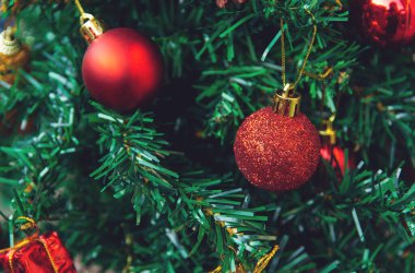 Noel süsü. Çam dallarına kırmızı toplar asmak Noel 'de
