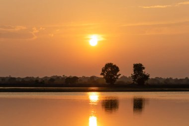 Gölün üzerinde güzel bir gün batımı ve iki ağaç silueti