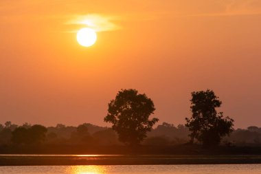 Gölün üzerinde güzel bir gün batımı ve iki ağaç silueti