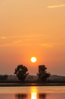 Gölün üzerinde güzel bir gün batımı ve iki ağaç silueti