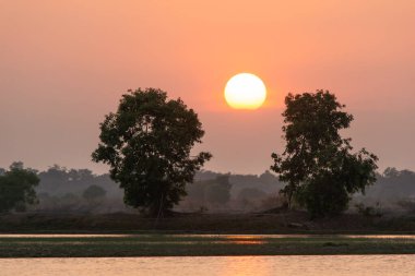 Gölün üzerinde güzel bir gün batımı ve iki ağaç silueti