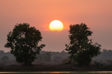 Gölün üzerinde güzel bir gün batımı ve iki ağaç silueti