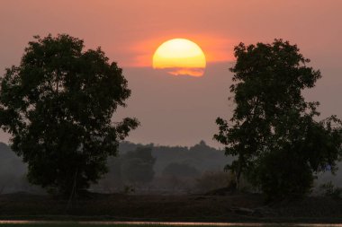 Gölün üzerinde güzel bir gün batımı ve iki ağaç silueti