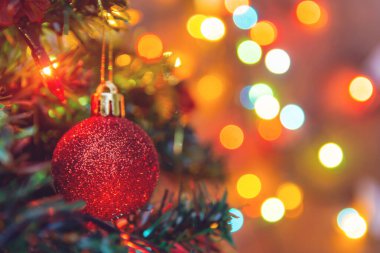 Noel süsü. Çam dallarına kırmızı toplar asmak Noel 'de