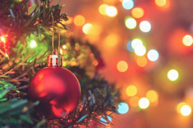 Noel süsü. Çam dallarına kırmızı toplar asmak Noel 'de