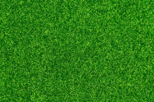 Herbe verte texture fond. Vue supérieure avec espace de copie . — Photo