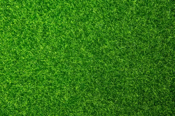 Grönt gräs textur bakgrund. Ovanifrån med kopia utrymme. — Stockfoto