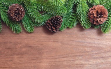 Noel arkaplanı. Firavun ağacı dalları ve kozalaklı çam ağaçları