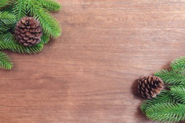 Noel arkaplanı. Firavun ağacı dalları ve kozalaklı çam ağaçları