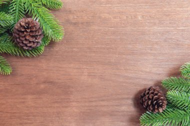 Noel arkaplanı. Firavun ağacı dalları ve kozalaklı çam ağaçları