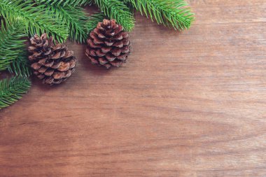 Noel arkaplanı. Firavun ağacı dalları ve kozalaklı çam ağaçları