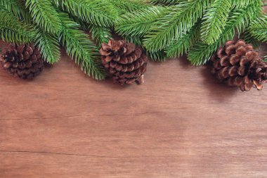 Noel arkaplanı. Firavun ağacı dalları ve kozalaklı çam ağaçları