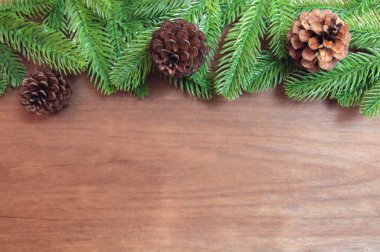Noel arkaplanı. Firavun ağacı dalları ve kozalaklı çam ağaçları