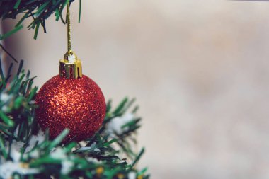 Noel süsü. Çam dallarına kırmızı toplar asmak Noel 'de