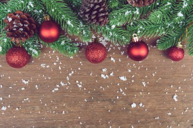 Noel arkaplanı. Firavun ağacı dalları, kırmızı Noel balosu ve 