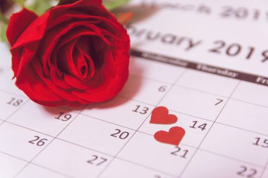 Sevgililer Günü. Takvim sayfasında kırmızı gül ve kırmızı kalpler Februar