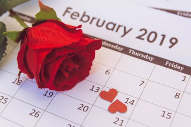 Sevgililer Günü. Takvim sayfasında kırmızı gül ve kırmızı kalpler Februar
