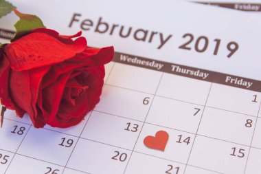 Sevgililer Günü. Takvim sayfasında kırmızı gül ve kırmızı kalpler Februar