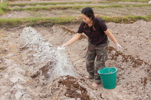 Woman gardeners put lime or calcium hydroxide into the soil to n