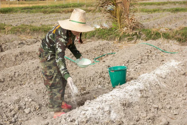 Woman gardeners put lime or calcium hydroxide into the soil to n — Stock Photo, Image