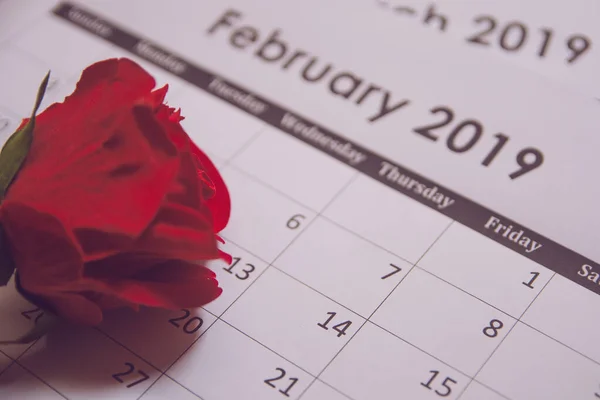 Valentýn. Červená růže na stránce kalendáře 14. února s kopií — Stock fotografie