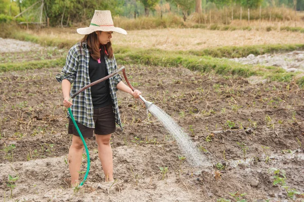 Gardener mulher rega legumes em seu jardim — Fotografia de Stock