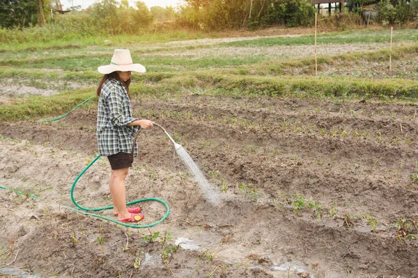Wanita tukang kebun menyirami sayuran di kebunnya — Stok Foto