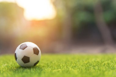 Çimen yeşil alanda fotokopi alanı ile futbol topu