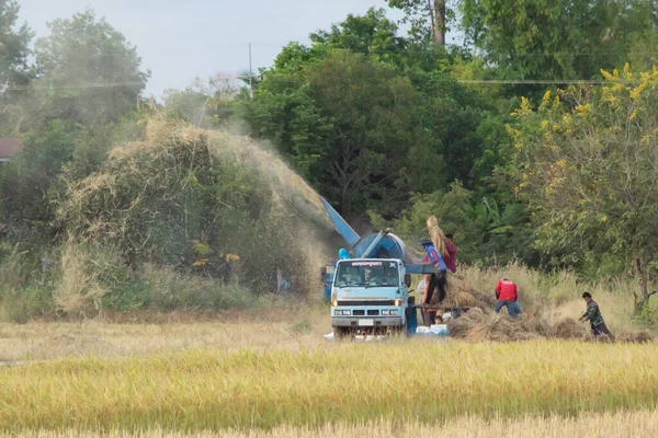 タイ・ナコンファン- 2018年11月11日:農業労働者｜millin — ストック写真