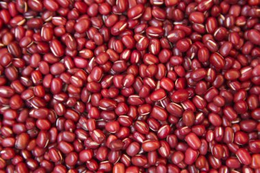 Böbrek fasulyesi, fasulye.