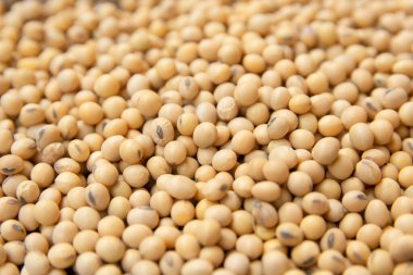 Soya desenini arkaplan olarak kapat