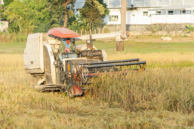 Nakhon Phanom, Tayland - 18 Kasım 2018 Hasat Makinesi