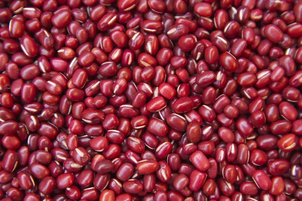 Kidney bean, Red bean background — Stock Photo, Image