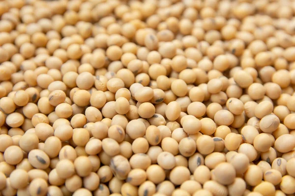 Close up padrão de soja como fundo — Fotografia de Stock